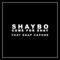 Come for Shay (Explicit)