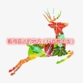 曾小黑 - 时光海湾