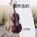 小白色 - 我好像在哪见过你