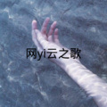 团团酱 - 网yi云之歌