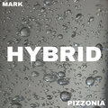 Hybrid