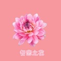 TSO - 《方广游戏经》之偈颂