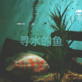 圈妹、9爷 - 慢慢来吧