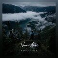 Abhijit Ray - New Air