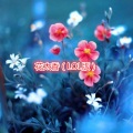 雪绮 - 谜语 (LOL版)
