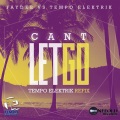 Can't Let Go (Faydee Vs Tempo Elektrik)(Tempo Elektrik Refix)