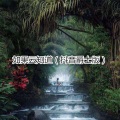 臻臻 - 一个