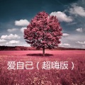 半藏 - 贝壳风铃 (超嗨版)