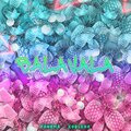 COOLCHA、Panama - Запомню ту ночь (Explicit)