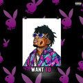 Youngan Flippa - Want To (Explicit)
