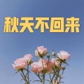 撒旦、7妹 - 齐天 (男声版)