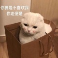 绾绾 - 可能否