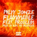 Flammable (feat. Problem)(Explicit)