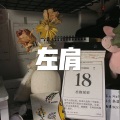 冰块、虞姬 - 装睡的人