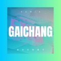 蔡南 - 好好的爱你 (DJ弹鼓版)