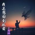 刘烁 - 兄弟情