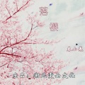 春小光 - 落樱