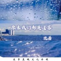 沈若 - 原来我们都是过客