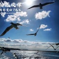 精彩贵sir、7先生 - 成长的代价就是失去原来的样子