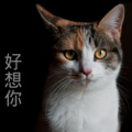 苏果儿 - 松烟入墨