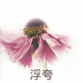 蓝泡泡 - 死了都要爱