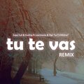 Expo Full、Feeling、Laarmonia、Yipi La Y Chilena - Tu Te Vas (Remix)