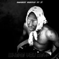 Swheezy Gunplay、AV - Where You Dey?
