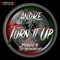 David B、andre lafelle - Turn It Up