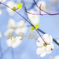 TSO - 弟子规·总叙