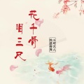 苏可可、小奶瓶 - 气质硬曲