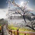 DJ云龙 - 赤道留不住雪花