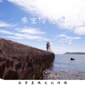 桃梓 - 余生没有你