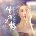 吴琳Lin - 借酒消愁
