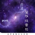 桃梓 - 赤道留不住雪花