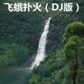 双喜 - 太初 (DJ版)