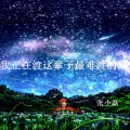 张小磊 - 我正在渡这辈子最难渡的劫