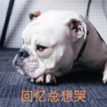 蓝泡泡 - 爱情抗体