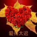 洛小菲 - 爱与愁