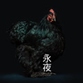 沙家、晓梦 - 今宵酒醒何处