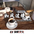 南辰 - Plain Jane (DJ版)