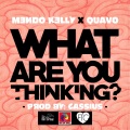 What Are You Thinking? (feat. Quavo)(Explicit)