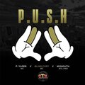midsouth、Blind Fury、P. Ayper - P.U.S.H