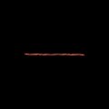 donnie - My Type (Explicit)