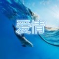 那对还对我说 (改编版)