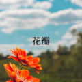 花瓣