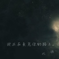 代领 - 我正在来见你的路上