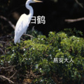 易安大人 - 广寒宫
