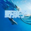 月牙湾 (改编版)