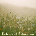 Musica Relajante、Dormir Bien、Relaxation Détente - At the Beginning