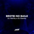 Mc Teteu、DJ Stanley、DJ Weriky、Weriky Raasch、MC Heitor、MC DG do Estrela、Mc Magrinho - Brotei no baile (Explicit)